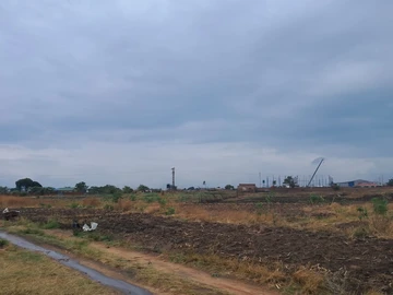 Farm & Agricultural Land