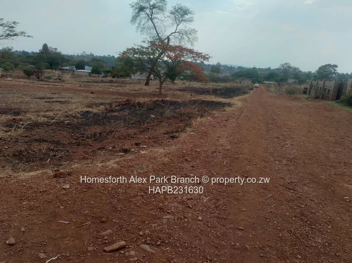 Banket Low Density Stand On Sale