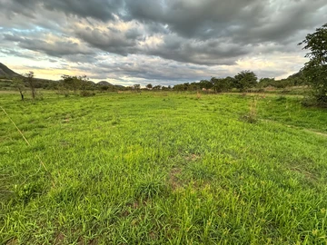 Farm & Agricultural Land