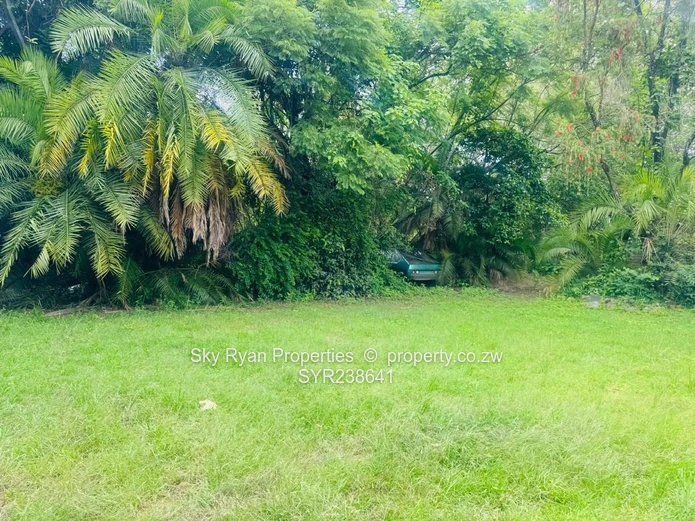 Highlands Cluster Stands For Sale