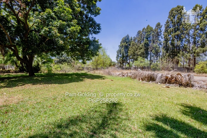 Excellent Development Potential In Marlborough (Sole Mandate)
