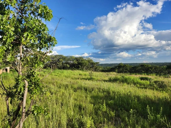 Farm & Agricultural Land