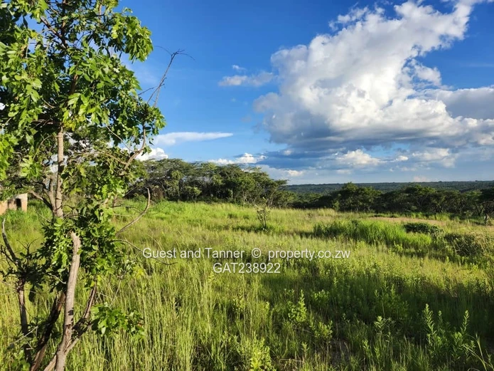 Ruwa Agro-Residential 1.64 Hectare Plot