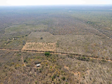 Farm & Agricultural Land