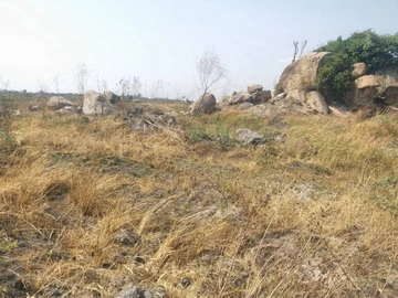 Stands & Residential Land