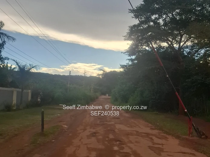 2,200sqm with Title Deed (Sole Mandate)