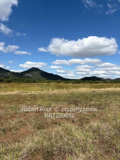 Two Prime Land for Sale in Concession (Each having 5000m2)