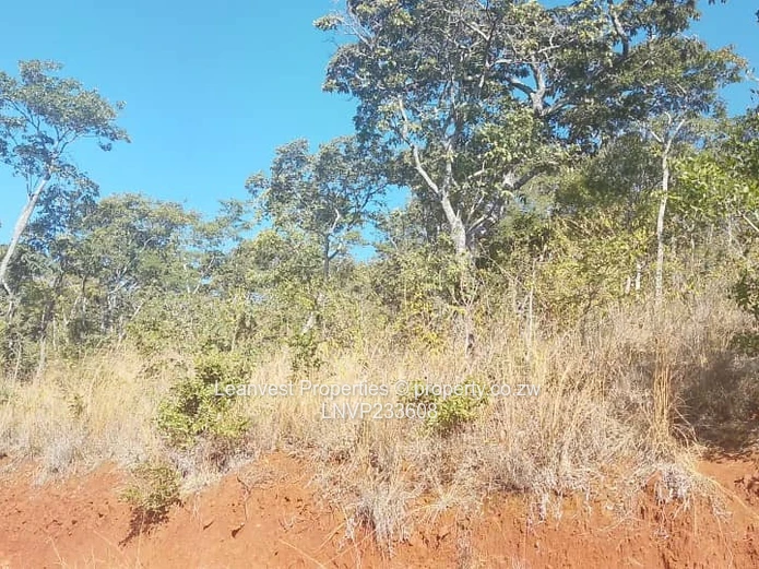 Gletwin Park stand for sale 