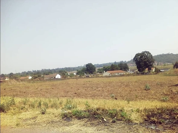 Land