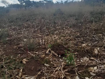 Land available for sale
