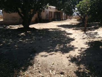 Farm & Agricultural Land