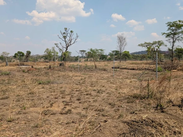 Farm & Agricultural Land