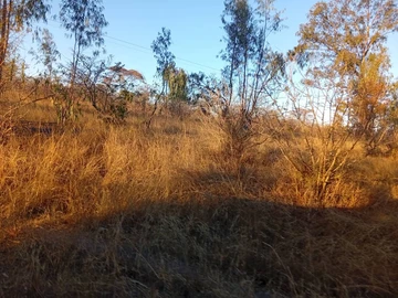 Farm & Agricultural Land