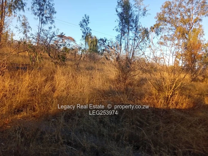 50.6ha Zvimba Farm — Fenced Grazing, Arable Land & Dam (Sole Mandate)