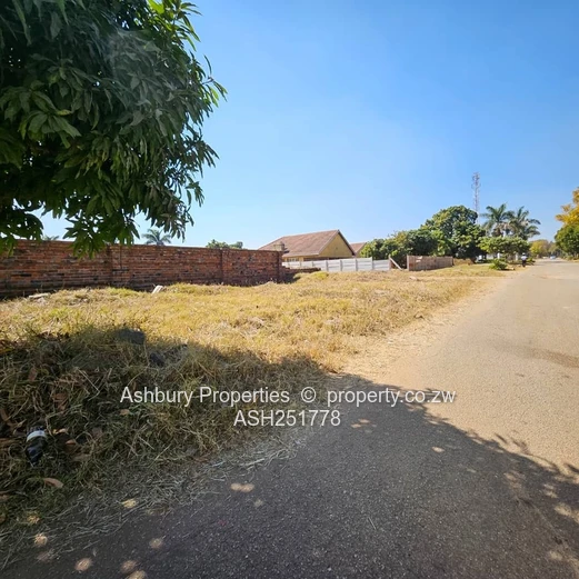 Great Investment Opportunity in Belverdere