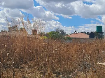 Stands & Residential Land