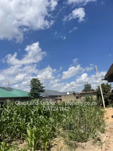 Stand For Sale – Southlea Park