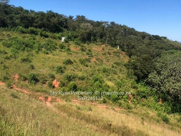 Bangazani Estate, Chipinge