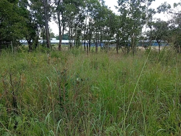 Farm & Agricultural Land