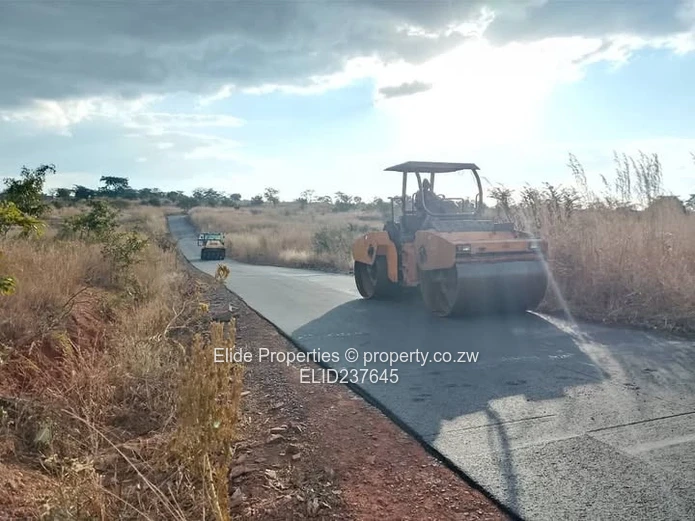 Pomona Buckland Terraces Stand (Sole Mandate)