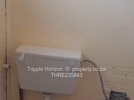 Avenues Bachelor Flat For Sale (Sole Mandate)