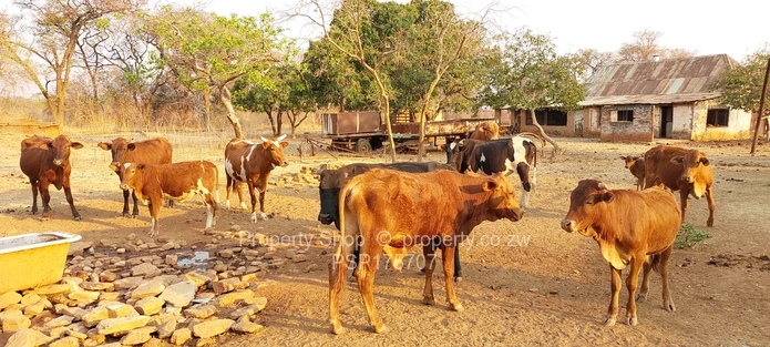 Excellent Farming Opportunity