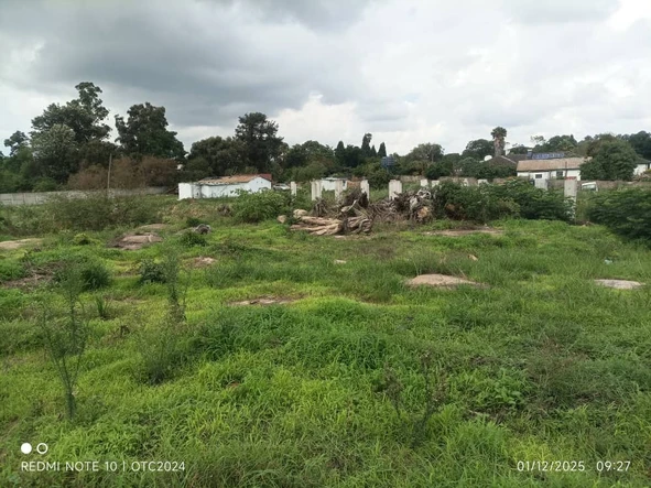 Stands & Residential Land