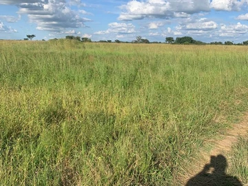 Plot For Sale