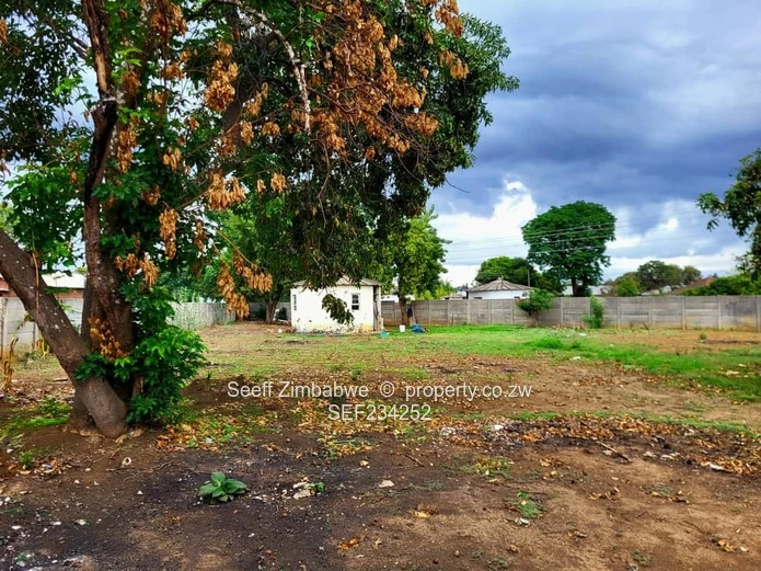 Spacious 4-Bedroom Family Home in Marlborough Needing TLC!