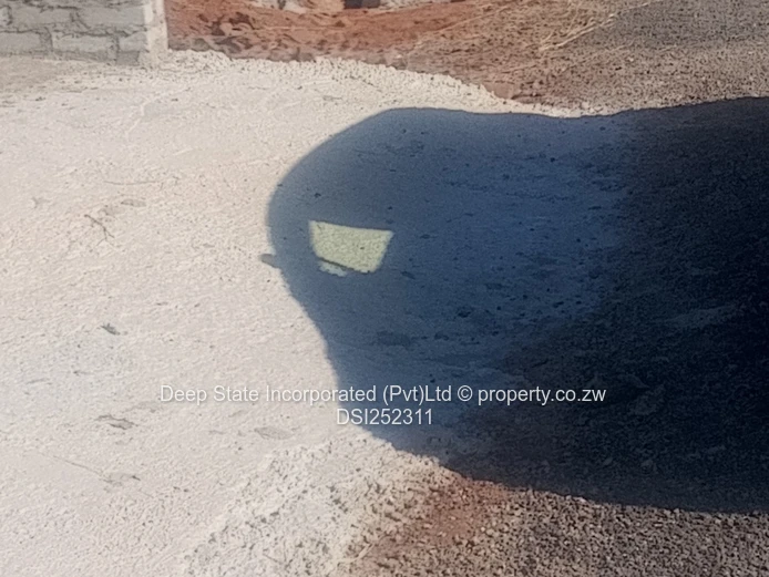 Nyeredzi stand for sale 