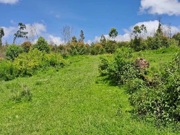 Farm & Agricultural Land