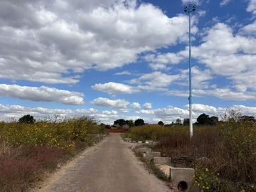 Stands & Residential Land