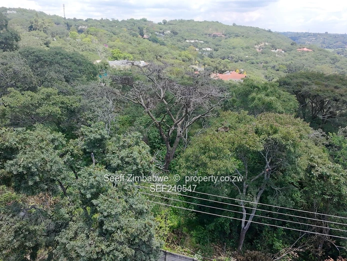 New Listing. Expansive Residential Land In Glen Lorne (Sole Mandate)