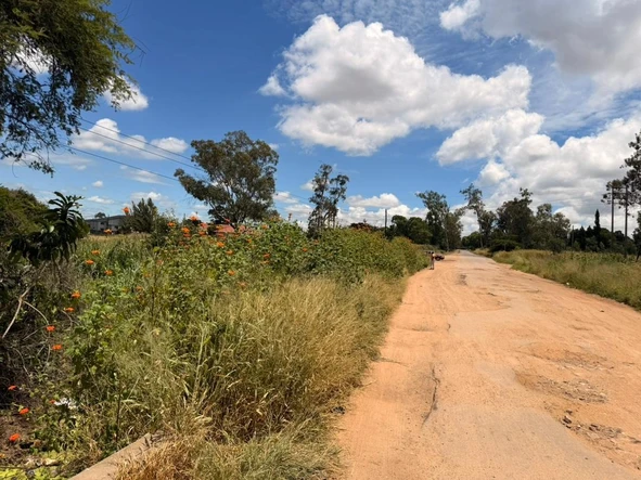 Stands & Residential Land