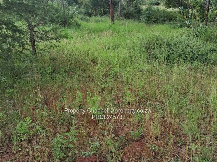 Stand For Sale In Borrowdale Brooke Ridge