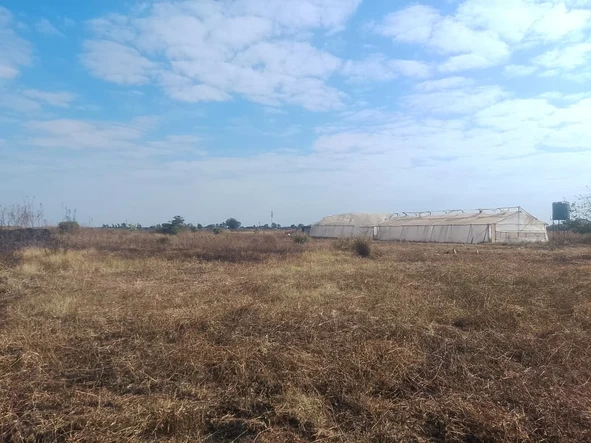 Farm & Agricultural Land