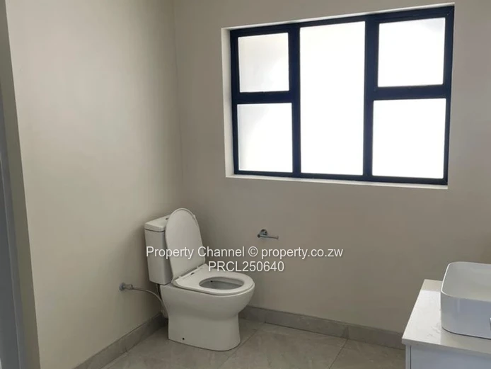 One bedroom apartments for rent
