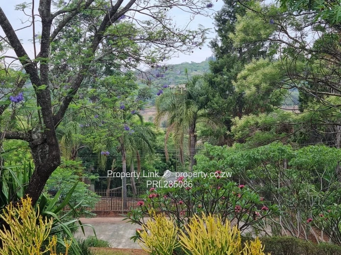 Home With Views, Pool & Self-Contained Cottage!