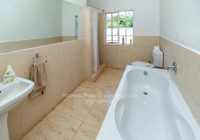 Timeless Elegance Meets Modern Luxury