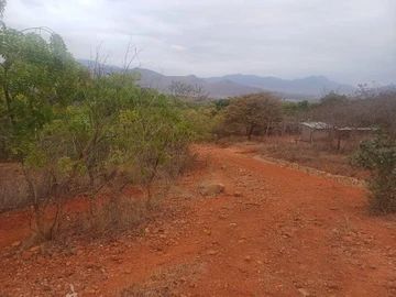 Farm & Agricultural Land