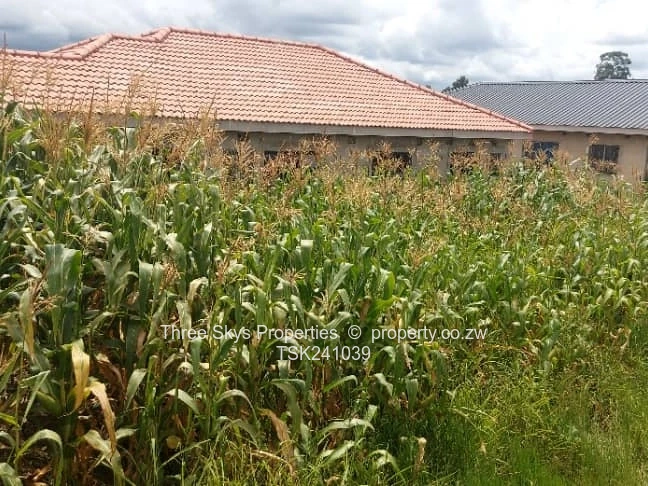 Budiriro  - Muzariri Area Close To Current Shops