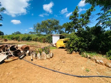 Farm & Agricultural Land