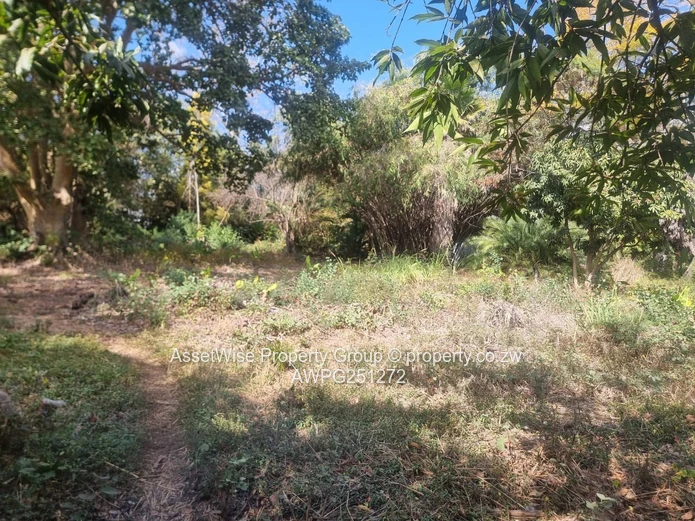 2100m² Tree-lined Commercial Plot in Avondale — Services