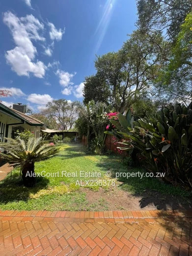 Beautifully Built House In Avondale West