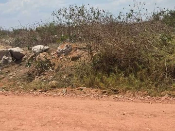Commercial & Industrial Land