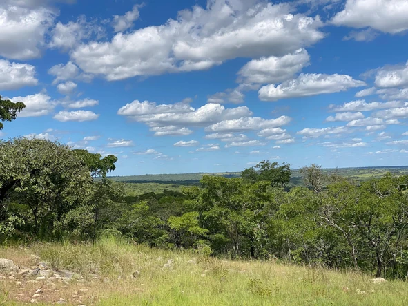 Farm & Agricultural Land