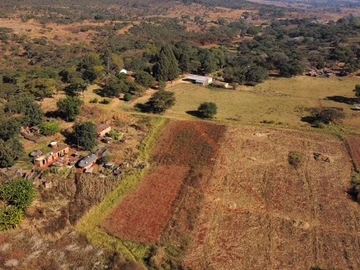 Farm & Agricultural Land