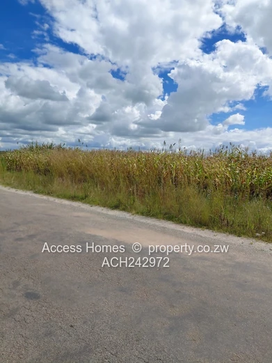 Hatfield Chiremba Park 