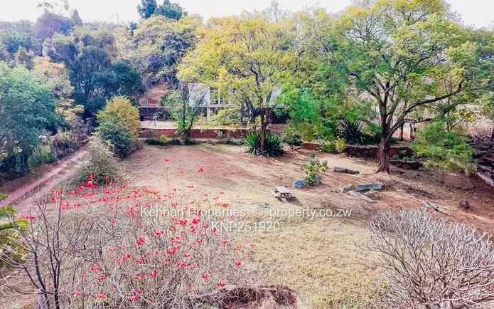 4 Bedroom house in Greystone Park with exceptional design potential.