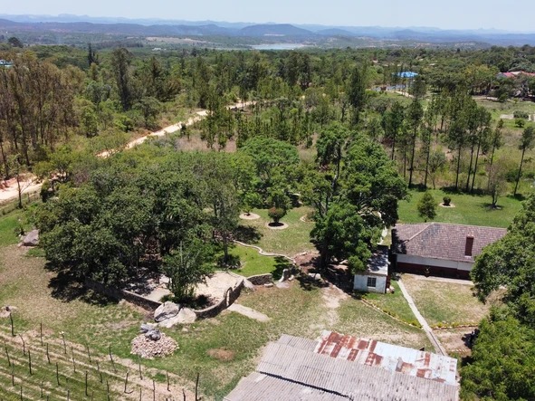 Farm & Agricultural Land